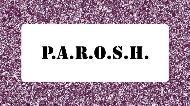 Shop online designer fashion from P.A.R.O.S.H. at discounted prices from our online designer outlet store Moon Behind The Hill based in Ireland