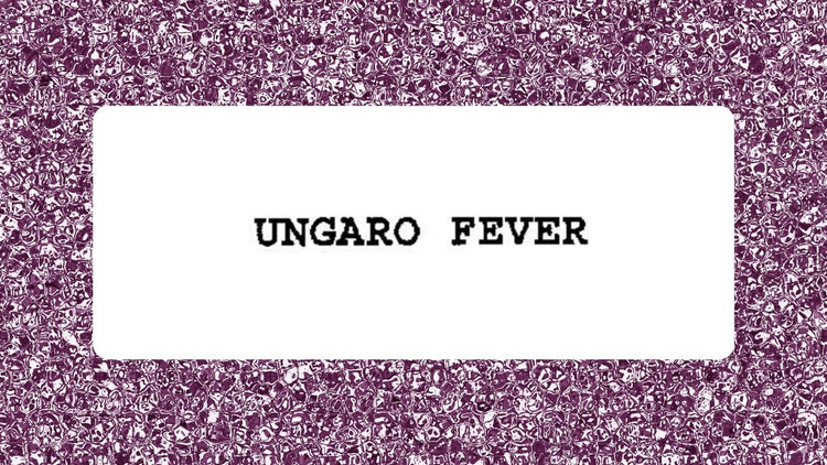 Shop online designer fashion from Ungaro Fever at discounted prices from our online designer outlet store Moon Behind The Hill based in Ireland
