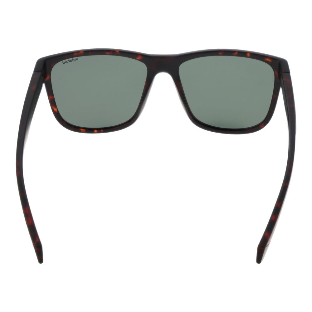 Polaroid Brown Plastic Sunglasses
