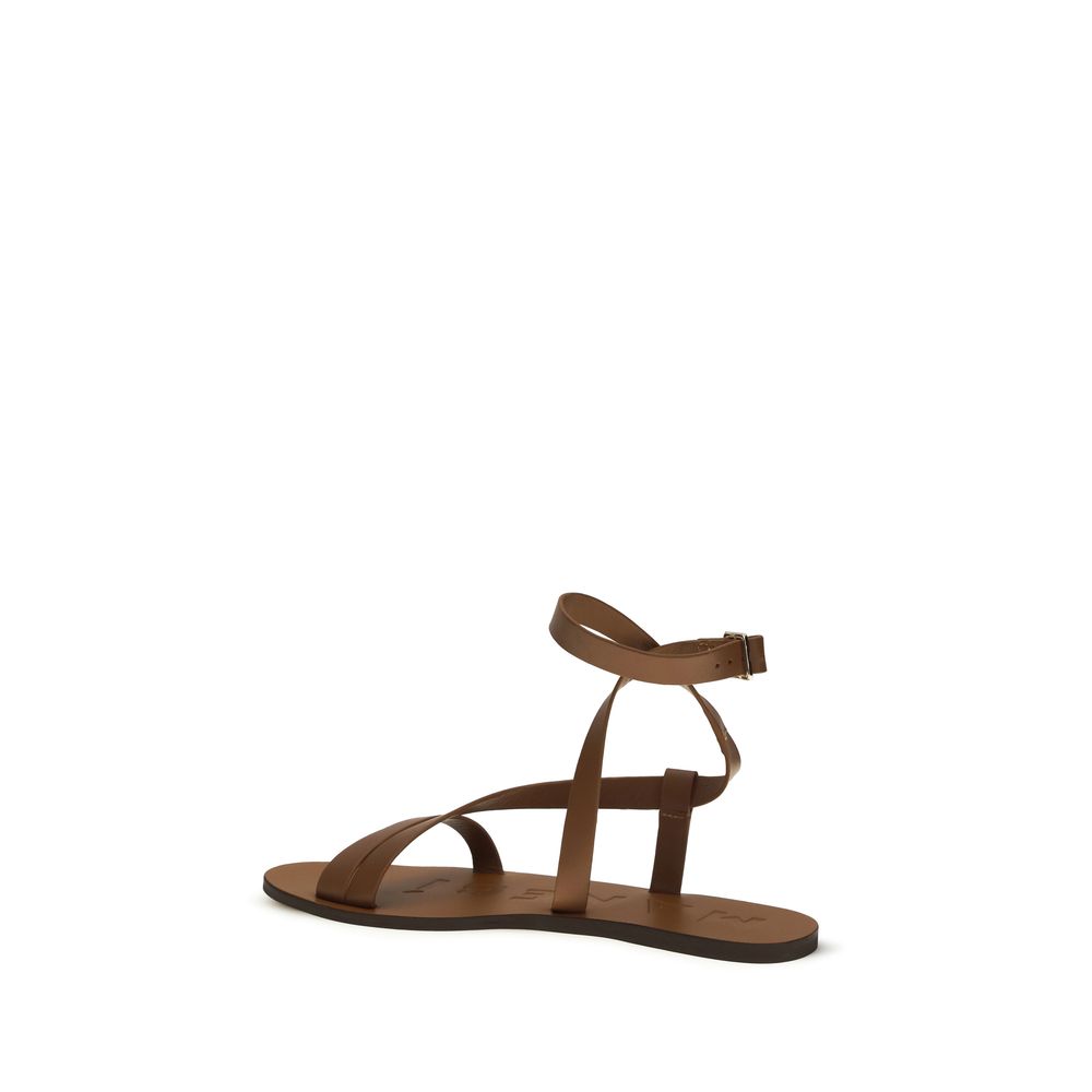 Manebi Women's Bos Taurus Calf Leather Flat Sandals - Brown
