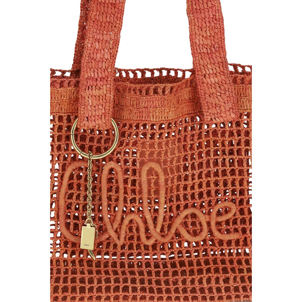 Chloé Raffia Polyester & Buffalo Leather Small East West Shoulder Bag - Multicolor Signature