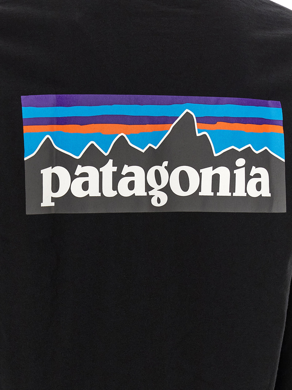PATAGONIA Men's Regular Fit Crew Neck Cotton Polyester T-Shirt - Black