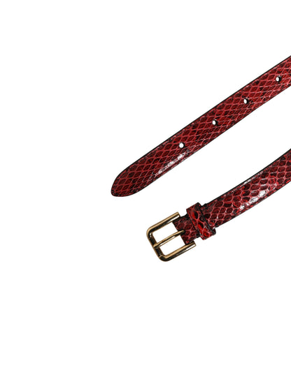 Dolce & Gabbana Ayers Calf Leather Belt - Gold Red
