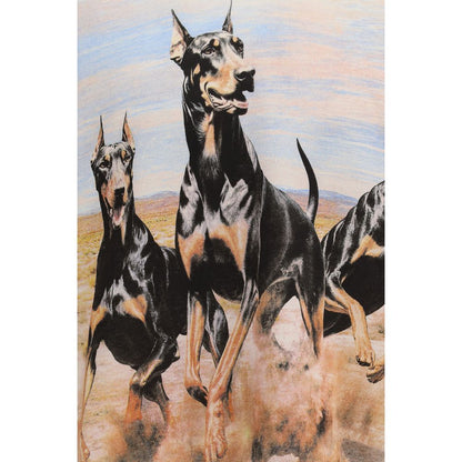 Represent White Cotton Sweatshirt