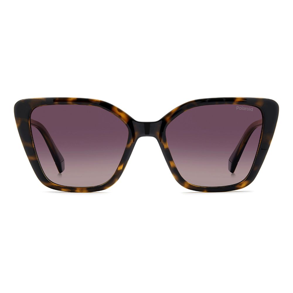 Polaroid Brown Polycarbonate Sunglasses