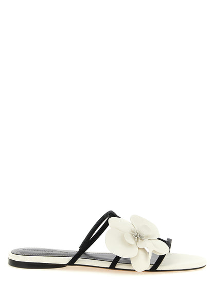 Sliders Flat Shoes by Zimmermann for women in leather bicolour, black & white features an captivating silhouette, showcasing the captivating style of the Women's Leather Sliders Flat Shoes with its distinct and refined .