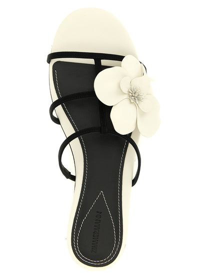 Sliders Flat Shoes by Zimmermann for women in leather bicolour, black & white presents a effortless chic silhouette, showcasing the Women's Leather Sliders Flat Shoes design with a effortless chic and for a sophisticated look.