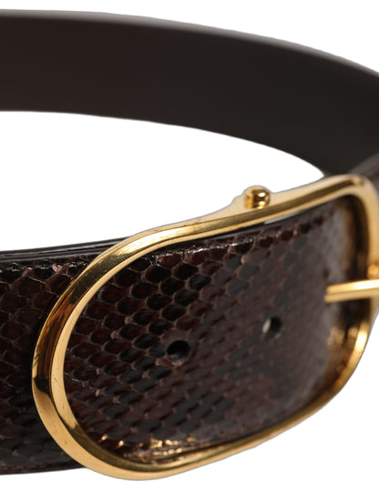 Dolce & Gabbana Python Leather Belt - Brown Gold