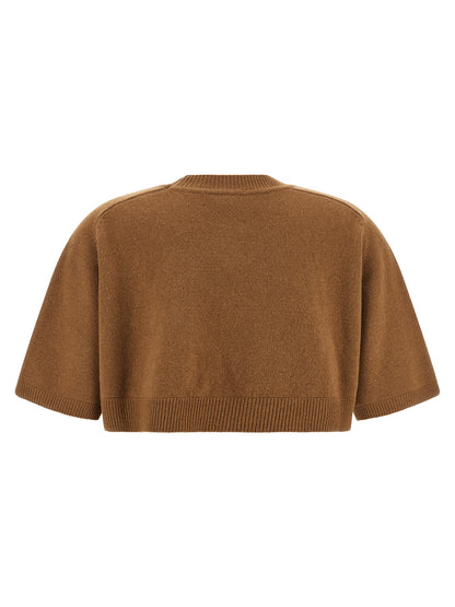 Elisabetta Franchi Brown Wool Sweatshirt