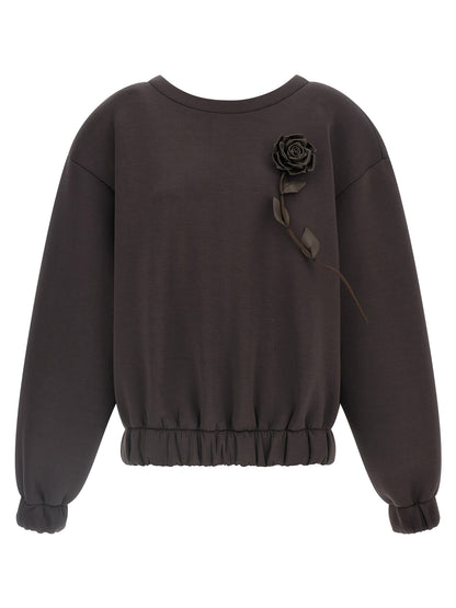 Giuseppe Di Morabito Brown Viscose Sweatshirt
