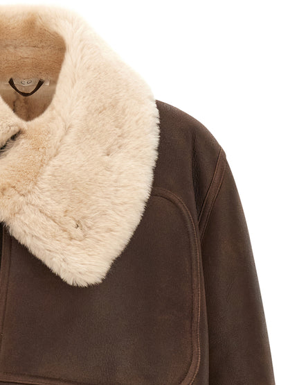 CO Brown Calfskin Leather Jacket
