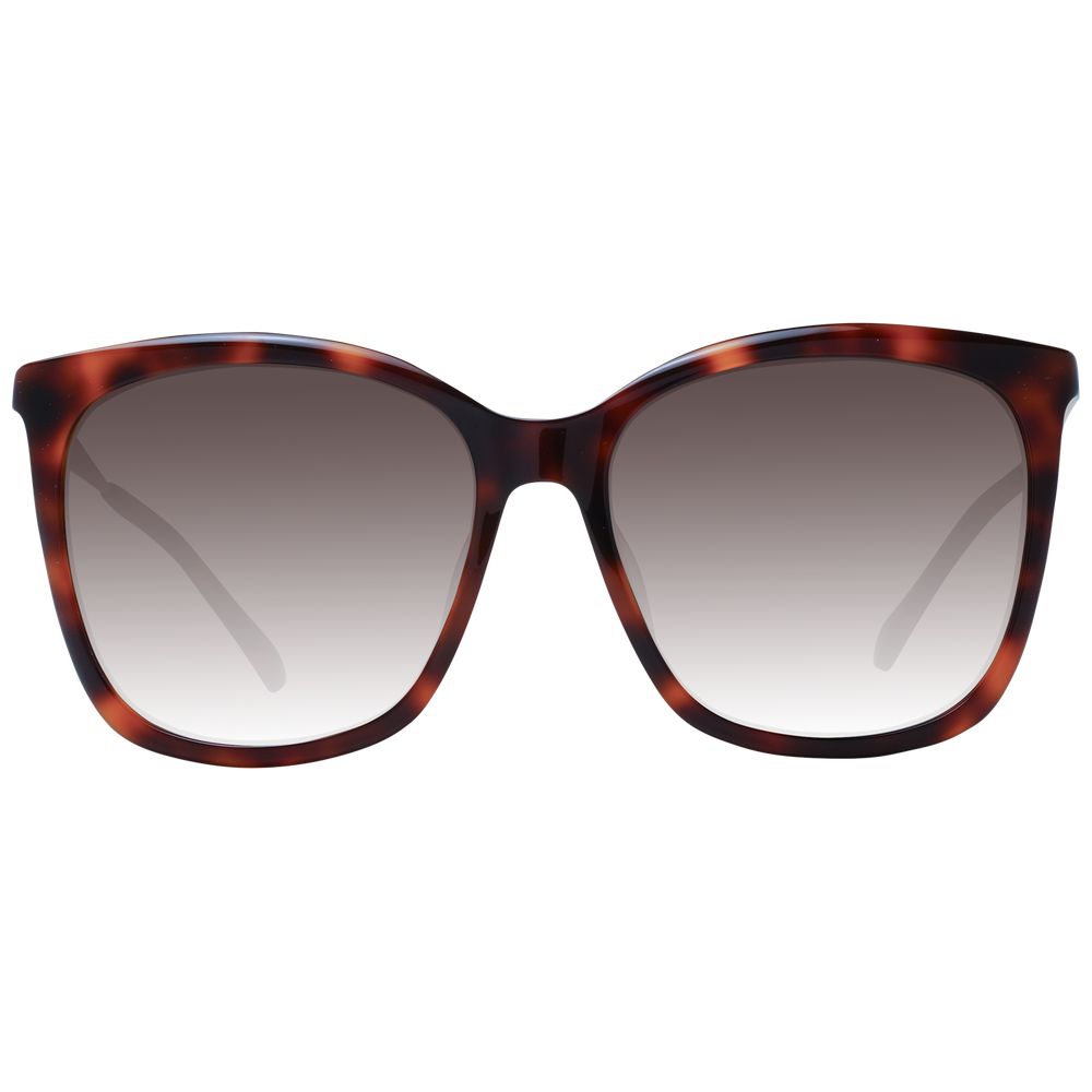 Brown Women Sunglasses by Jimmy Choo