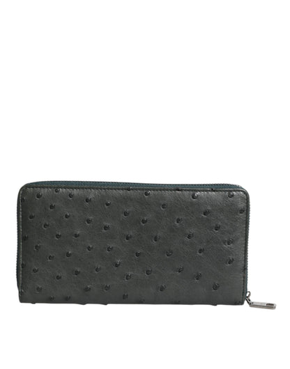 Dolce & Gabbana Ostrich Leather Cardholder Wallet - Green