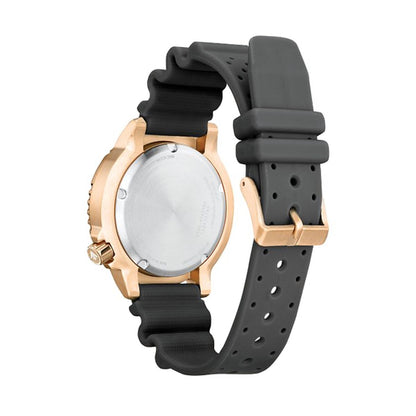 V5HB0FB7A20FC84A6FD3DC596EAC97581BBR5681888P5