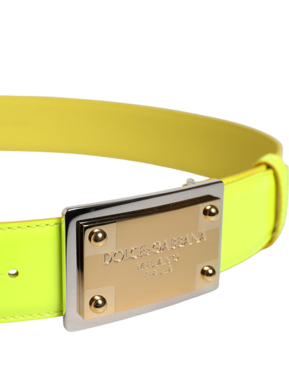 Dolce & Gabbana Calf Leather Belt - Green Silver Yellow