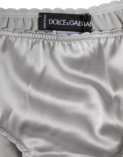 Dolce & Gabbana Gray Silk Stretch Bottom Low Waist Panty Underwear