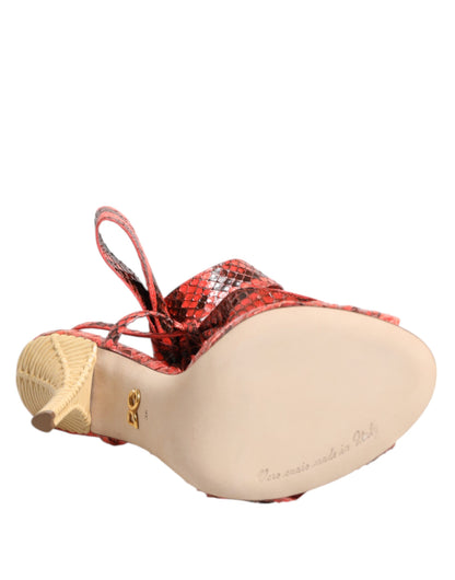 Dolce & Gabbana Women's Python Leather Sandals - Animal Coral Print