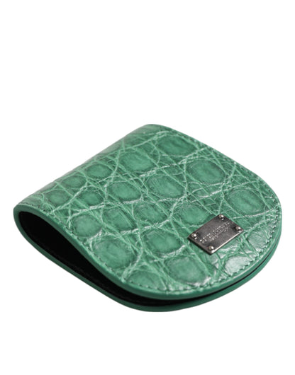 Dolce & Gabbana Caiman Leather Wallet - Green