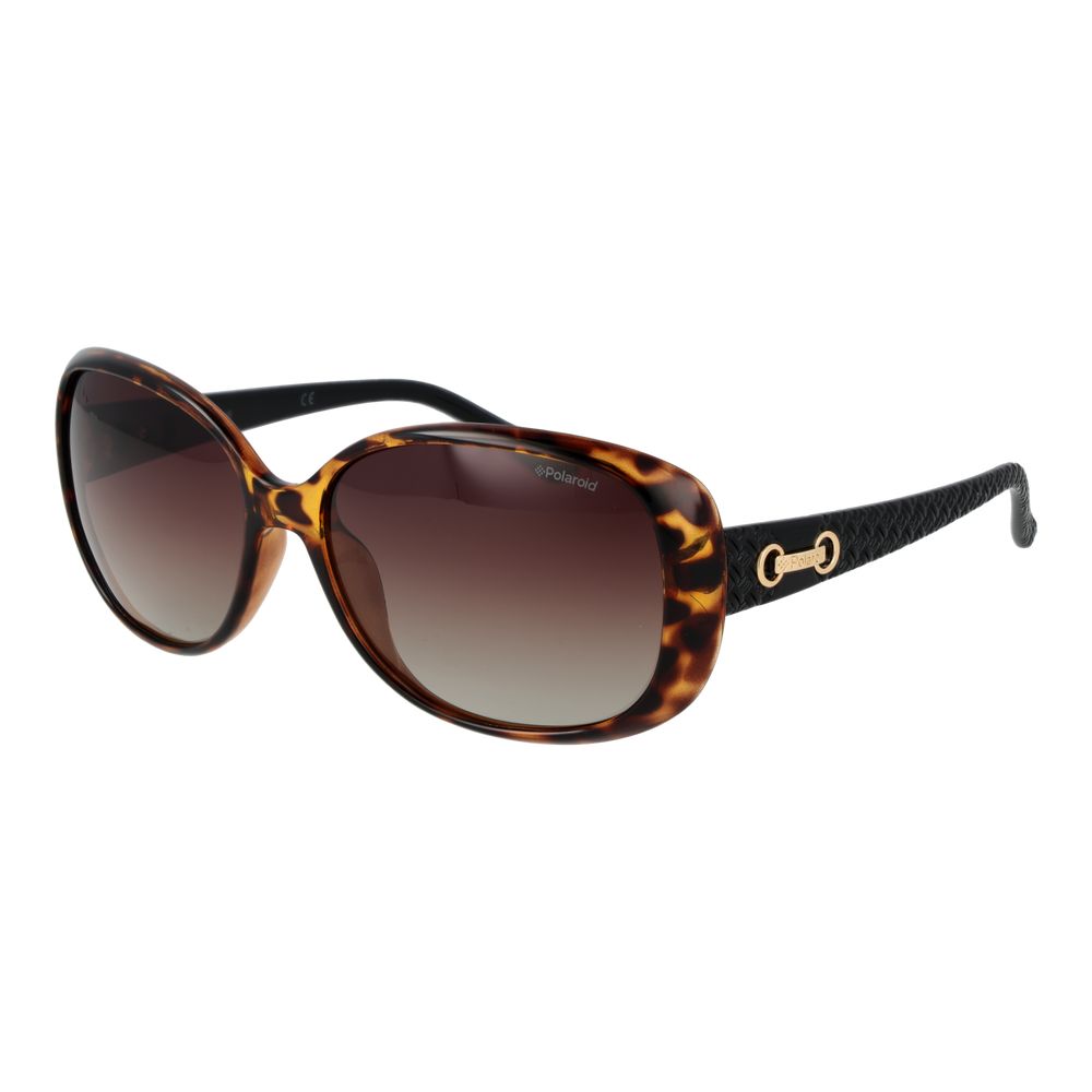 Polaroid Brown Plastic Sunglasses
