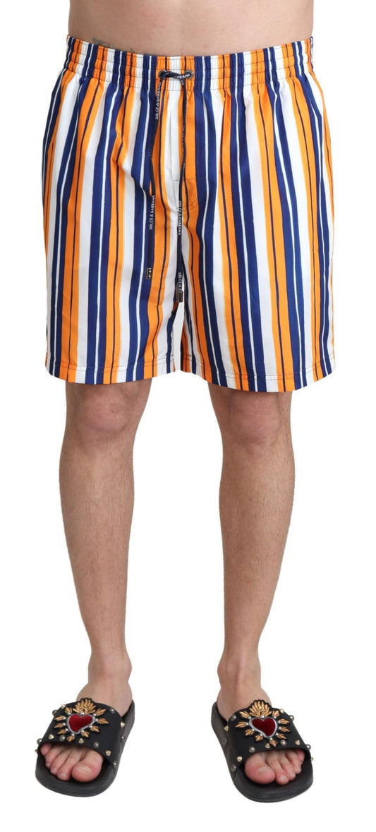Multicolor Striped Beachwear Swimshorts