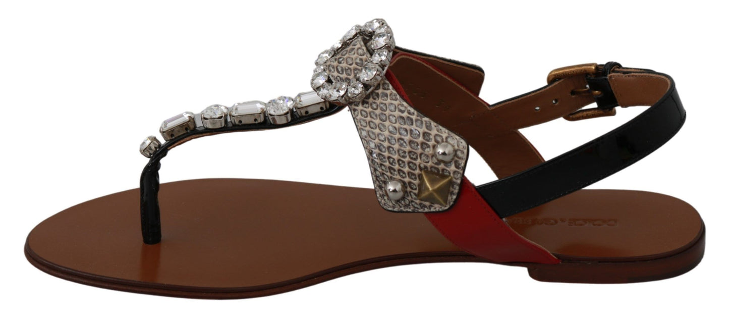 Leather Ayers Crystal Sandals Flip Flops Shoes - Designed by Dolce & Gabbana Available to Buy at a Discounted Price on Moon Behind The Hill Online Designer Discount Store