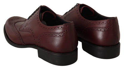 Dolce & Gabbana Bordeaux Leather Oxford Wingtip Formal Shoes - Designed by Dolce & Gabbana Available to Buy at a Discounted Price on Moon Behind The Hill Online Designer Discount Store