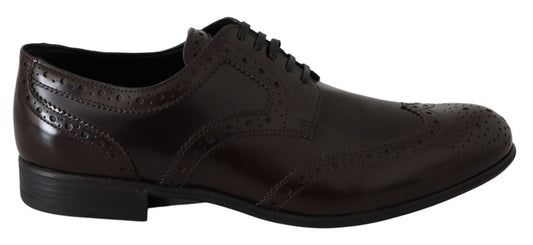 Brown Leather Broques Oxford Wingtip Shoes - Designed by Dolce & Gabbana Available to Buy at a Discounted Price on Moon Behind The Hill Online Designer Discount Store