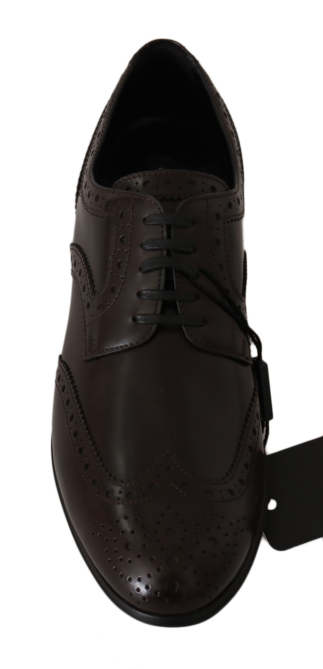 Brown Leather Broques Oxford Wingtip Shoes - Designed by Dolce & Gabbana Available to Buy at a Discounted Price on Moon Behind The Hill Online Designer Discount Store