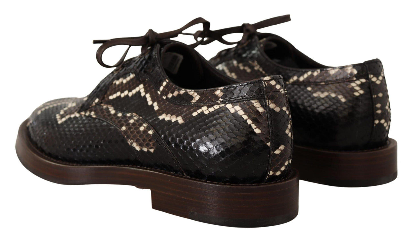 Brown Derby Exotic Leather Men Shoes - Designed by Dolce & Gabbana Available to Buy at a Discounted Price on Moon Behind The Hill Online Designer Discount Store